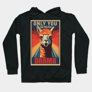 Only You Can Prevent Drama Graphic Hoodie